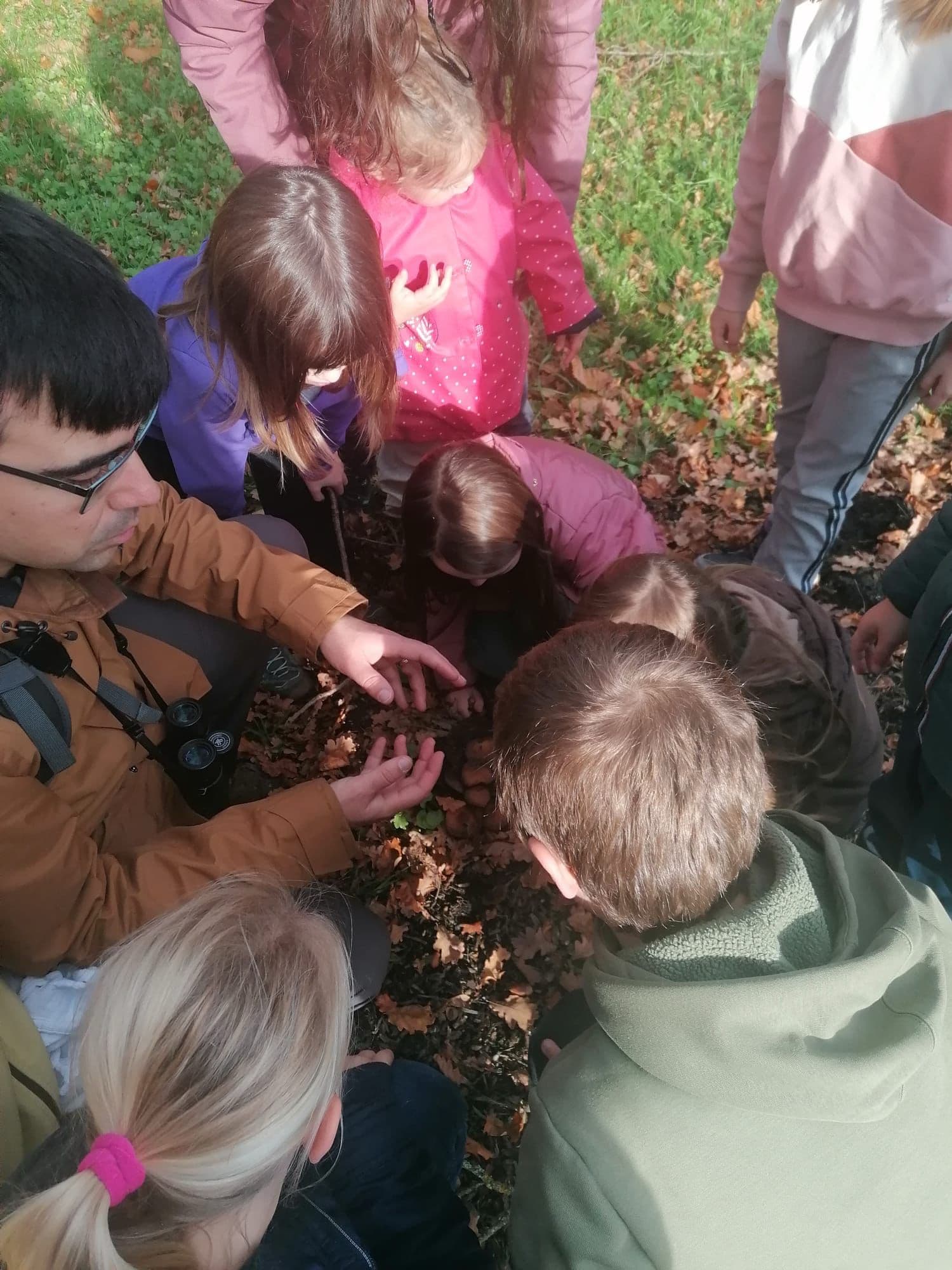 thuisonderwijzers review